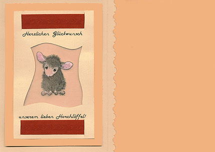 R�ckseite Karte Horchl�ffel & Laubfrosch