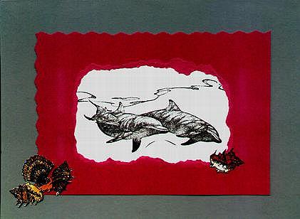 Karte Delphin 1