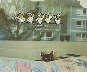 Window-Colour-Bild Pino & die V�gel