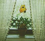 Window-Colour-Bild Walking Teddy